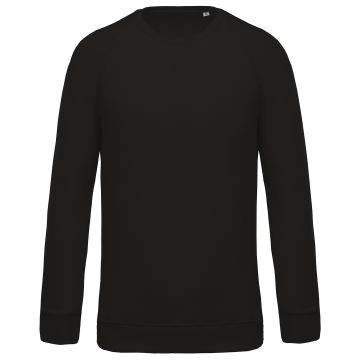 Organic cotton crew neck raglan sleeve sweatshirt