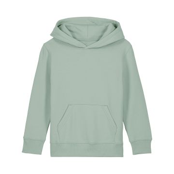 Kids Mini Cruiser 2.0 iconic hoodie sweatshirt (STSK180)